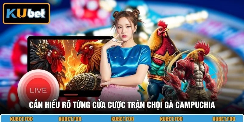 Cần hiểu rõ từng cửa cược trận chọi gà Campuchia